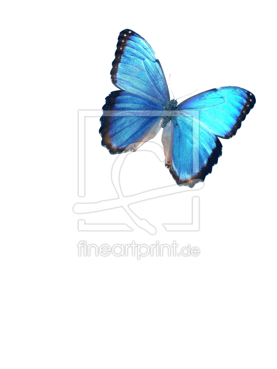 Bild-Nr.: 9453378 Butterfly erstellt von Glanz-Verlag