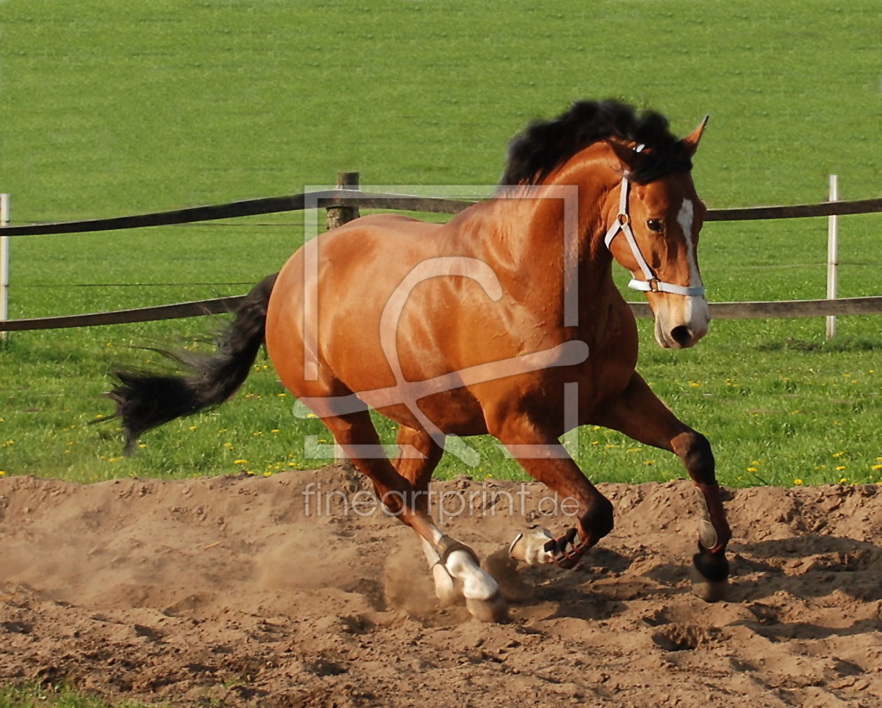 Bild-Nr.: 9461804 Aktion erstellt von Heide Wilhelm