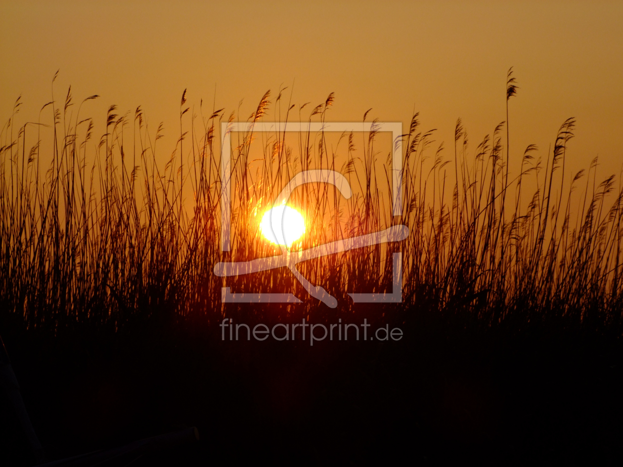 Bild-Nr.: 9467026 Sonnenuntergang erstellt von Baltic-Media