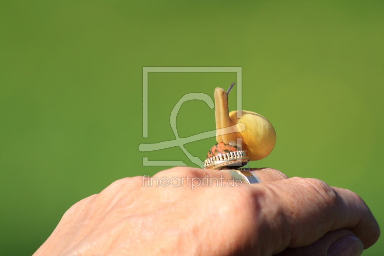 Bild-Nr.: 9469310 Schnecke bei der Morgengymnastik erstellt von affrey