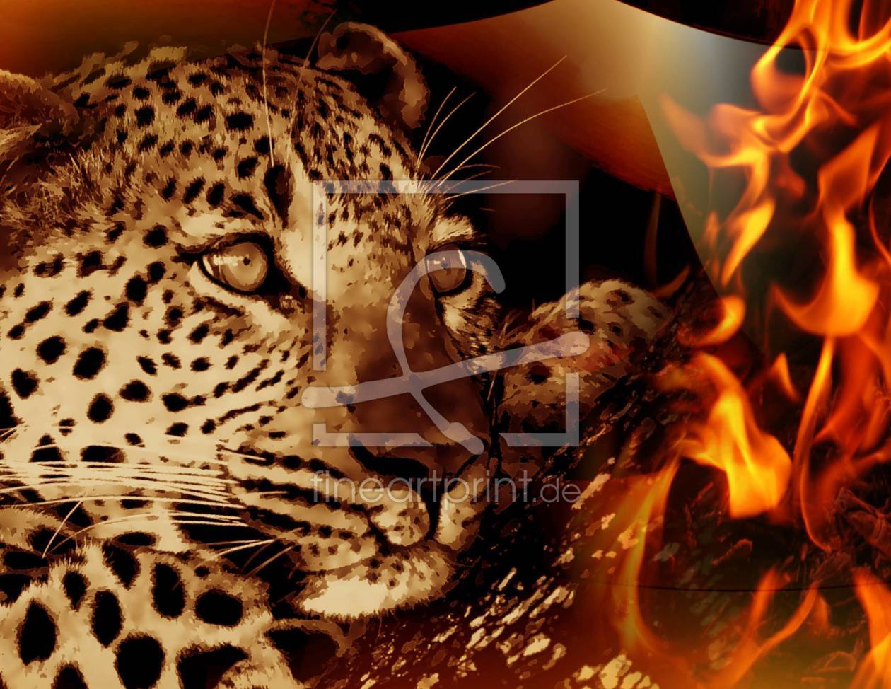 Bild-Nr.: 9479160 Wildlife - Gepard erstellt von Caras