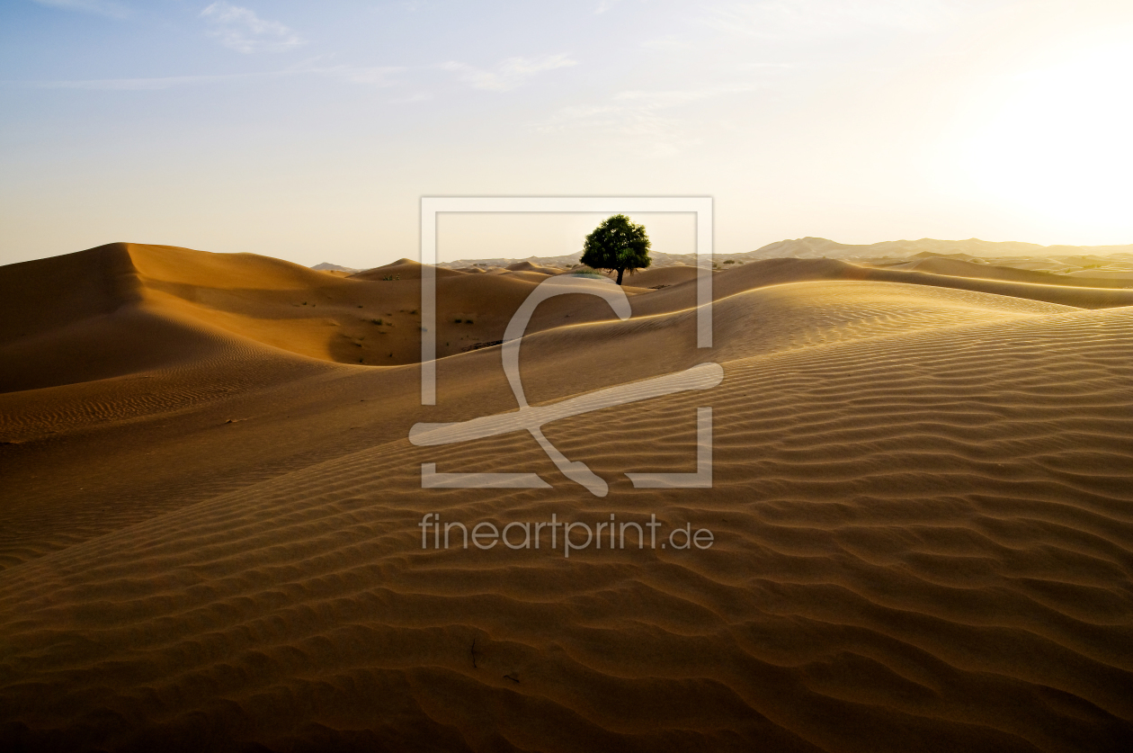 Bild-Nr.: 9480454 Wüste erstellt von danielschoenen