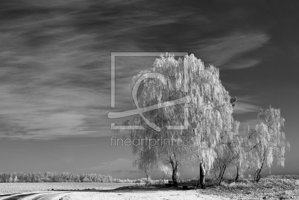 Bild-Nr.: 9481350 FROST erstellt von KamboDscha