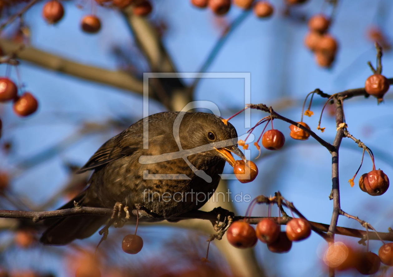 Bild-Nr.: 9482316 Gedeckter Tisch erstellt von Gikfotoart