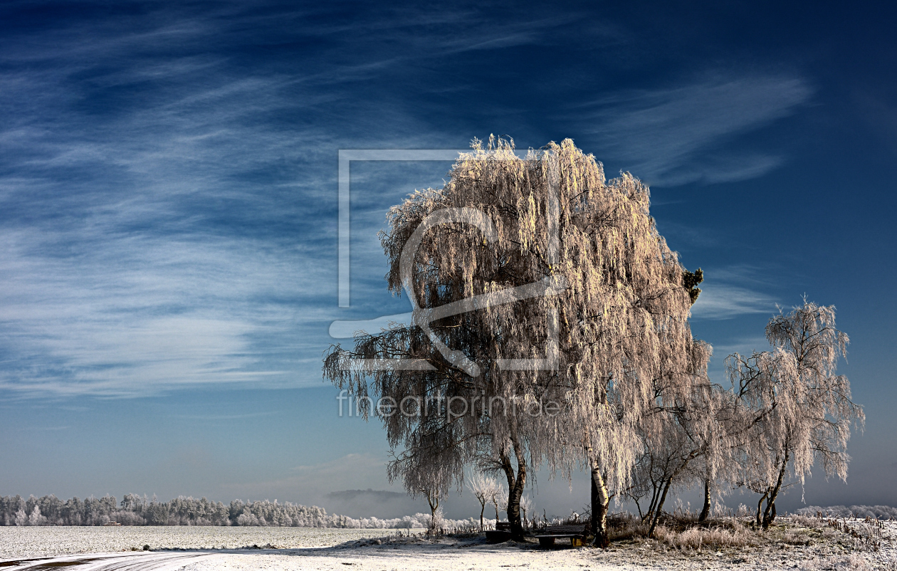 Bild-Nr.: 9483266 FROST II erstellt von KamboDscha