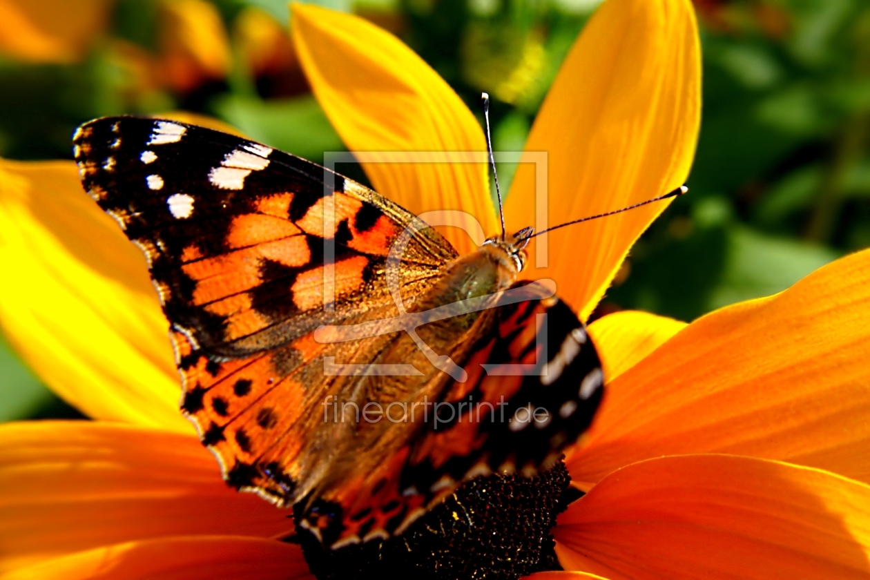 Bild-Nr.: 9488608 Orange Moods erstellt von youhaveadream