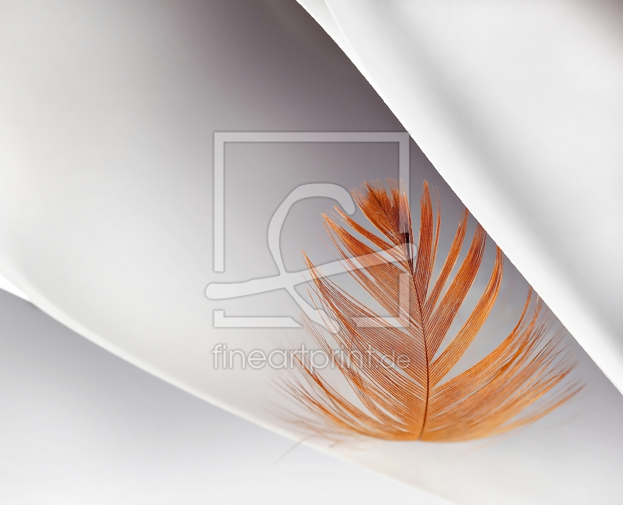 Bild-Nr.: 9499638 Light as a Feather erstellt von Ira-13