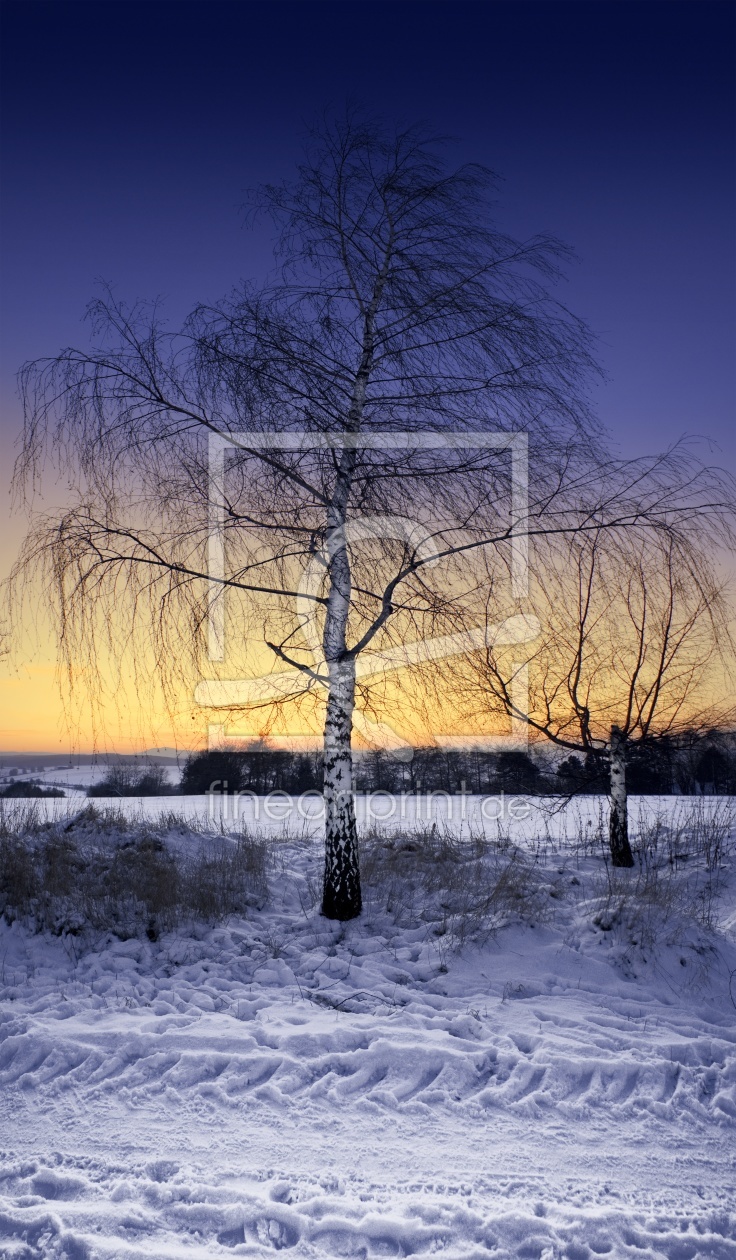Bild-Nr.: 9501316 winterliches Abendrot erstellt von WorldOfArt