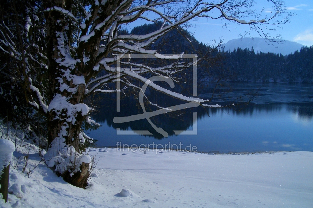 Bild-Nr.: 9503840 See im Winter - 1 erstellt von MarcNiebauer