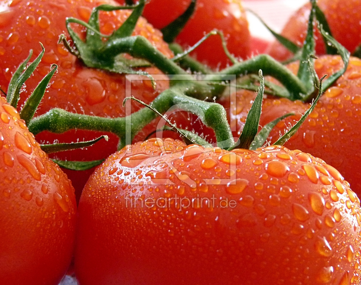 Bild-Nr.: 9520636 Tomaten erstellt von Simone Vanummissen