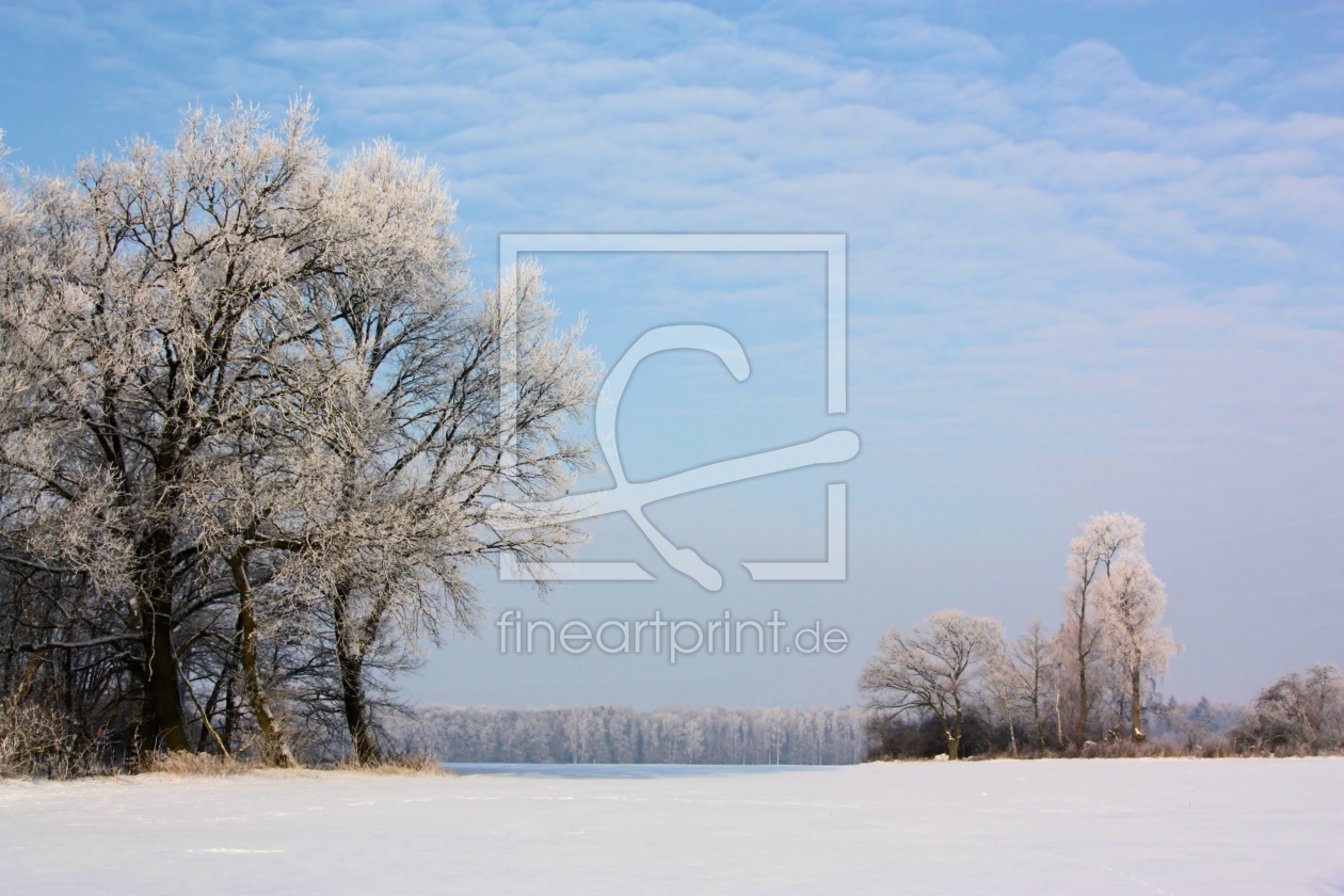 Bild-Nr.: 9522844 Winter in Mecklenburg erstellt von Dan Kollmann