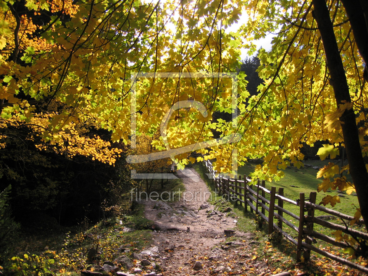 Bild-Nr.: 9524354 Herbstlaub erstellt von Hardus