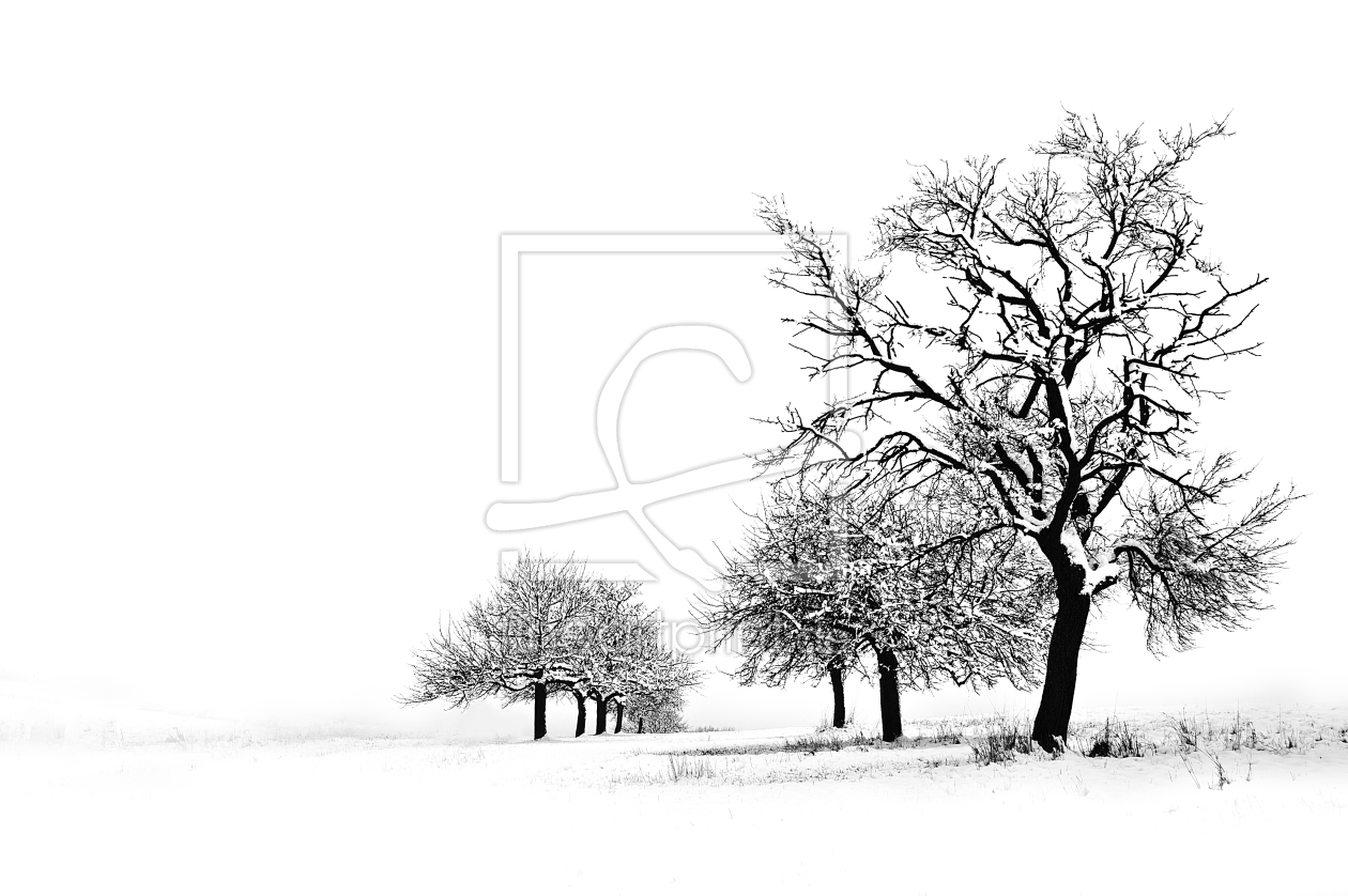 Bild-Nr.: 9528174 Winterimpresionen erstellt von  Heidi  Brausch 