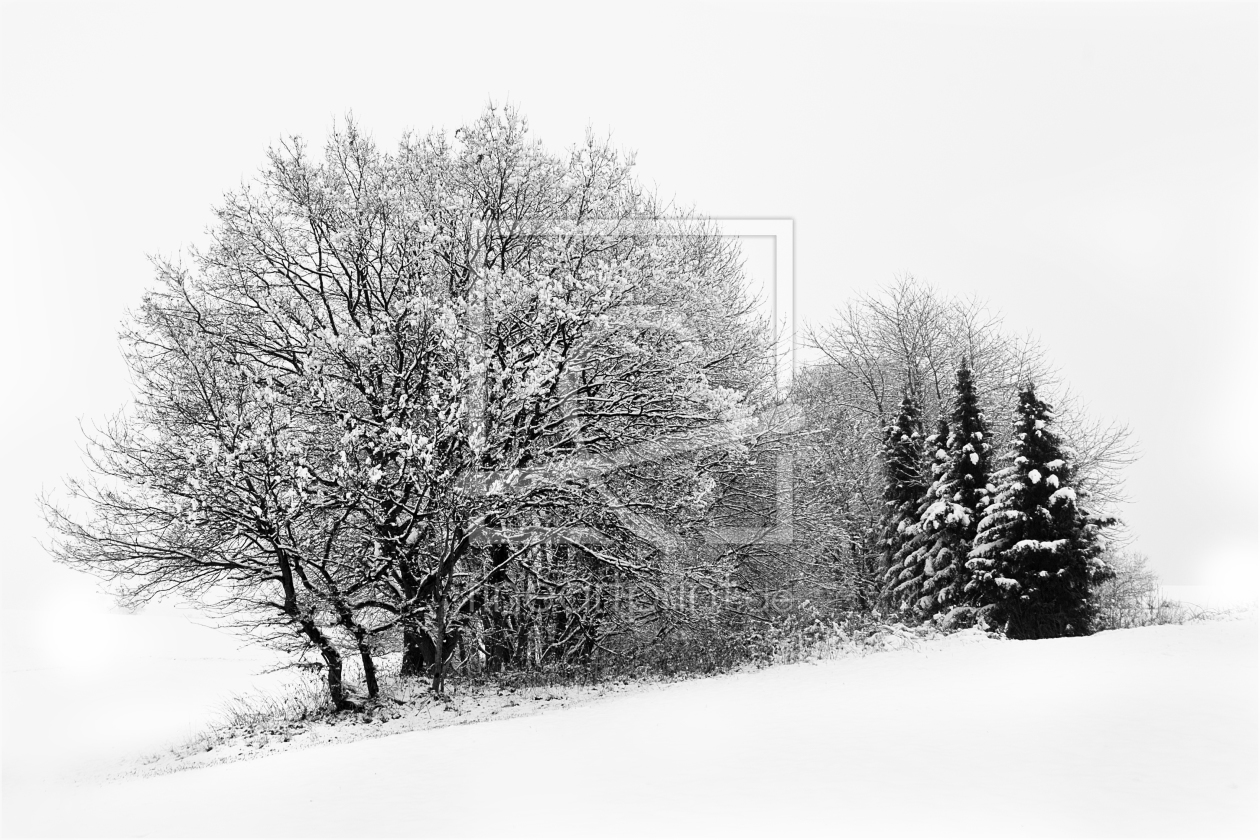 Bild-Nr.: 9528180 Winterimpresionen 2 erstellt von  Heidi  Brausch 