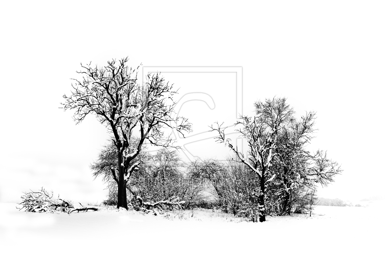 Bild-Nr.: 9528190 Winterimpresionen 3 erstellt von  Heidi  Brausch 