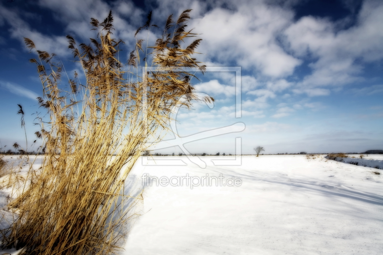 Bild-Nr.: 9534810 Winterimpression erstellt von Timo Geble
