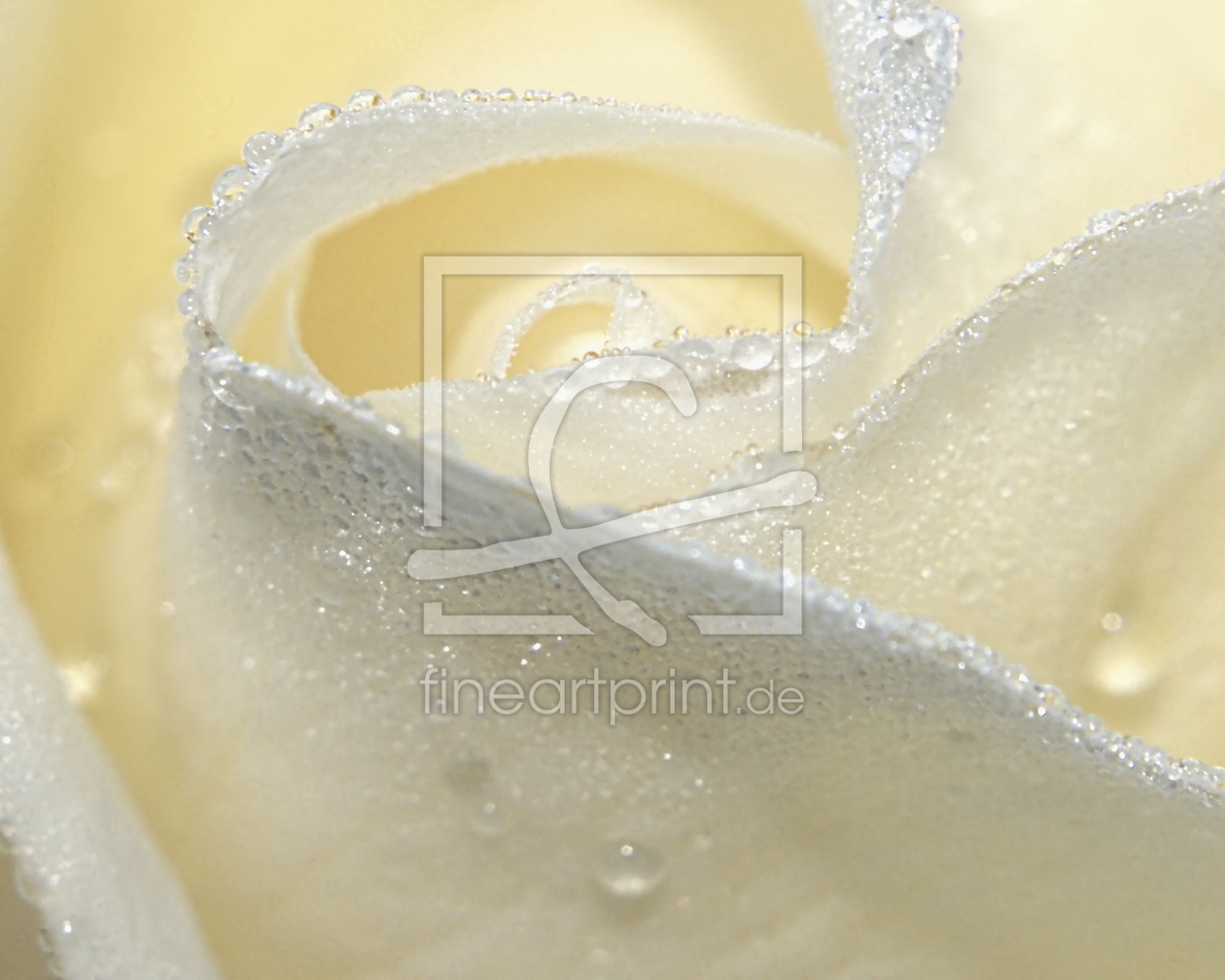 Bild-Nr.: 9535040 White Love erstellt von youhaveadream