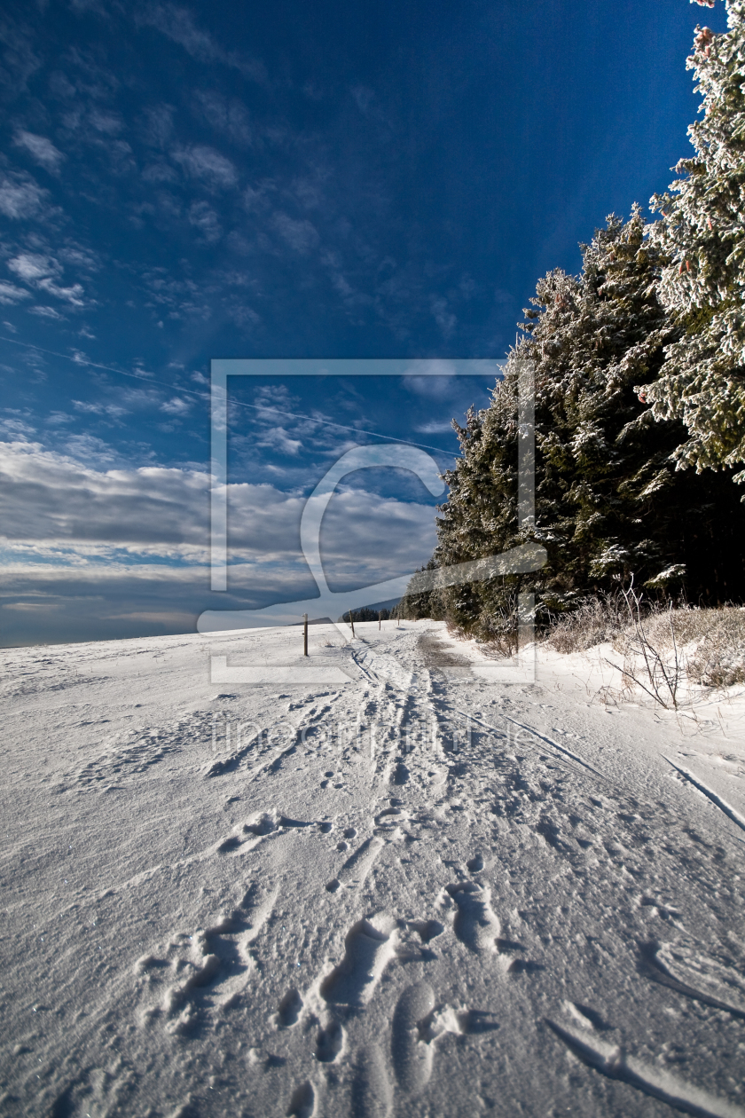 Bild-Nr.: 9541106 Winterzeit erstellt von HeschFoto