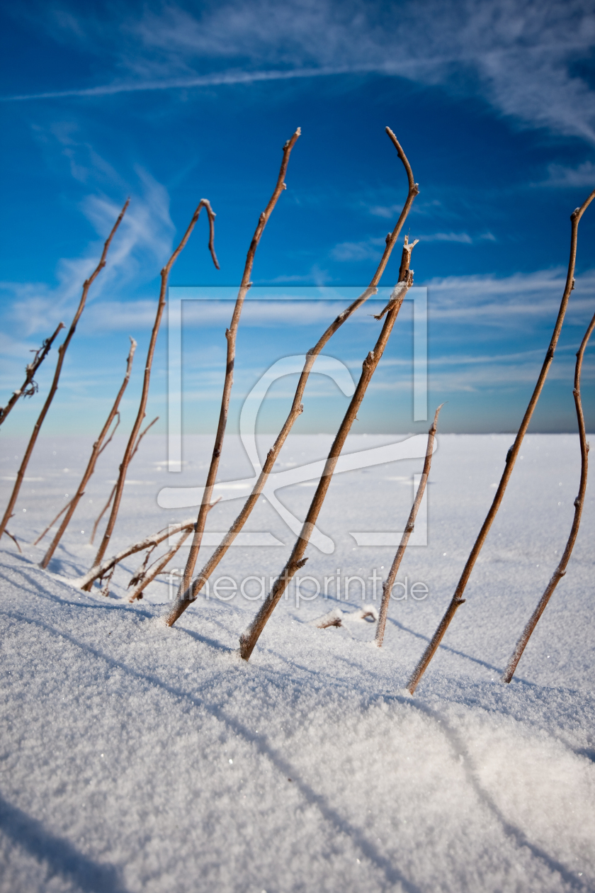 Bild-Nr.: 9542048 Winterzeit... erstellt von HeschFoto