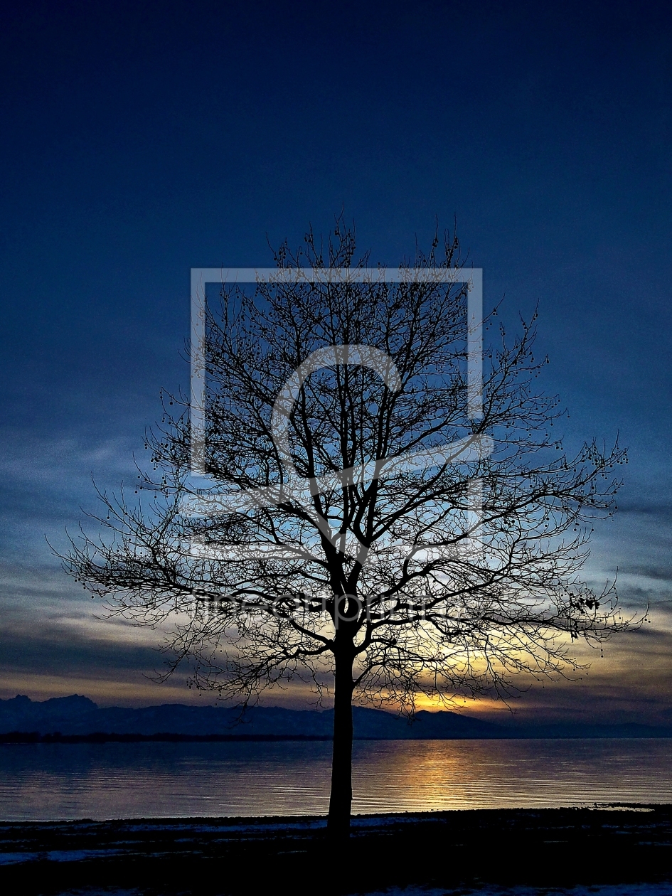 Bild-Nr.: 9542152 Bodensee Romantik erstellt von Renate Knapp