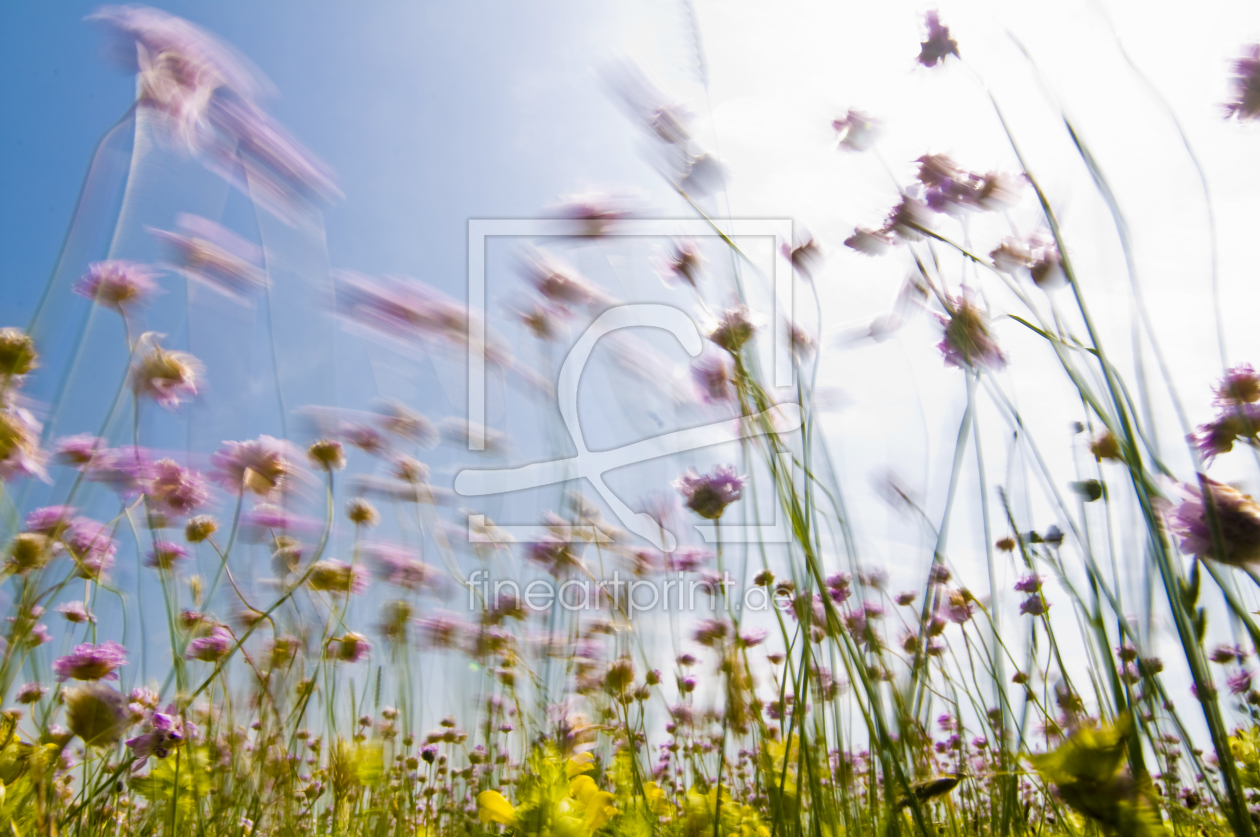 Bild-Nr.: 9548488 Wind erstellt von danielschoenen