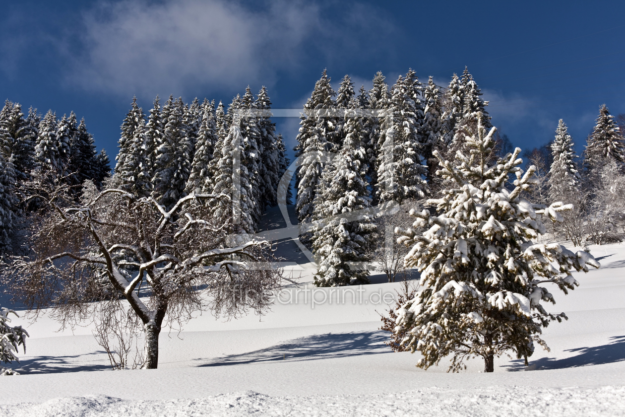 Bild-Nr.: 9551062 Winterzeit... erstellt von HeschFoto