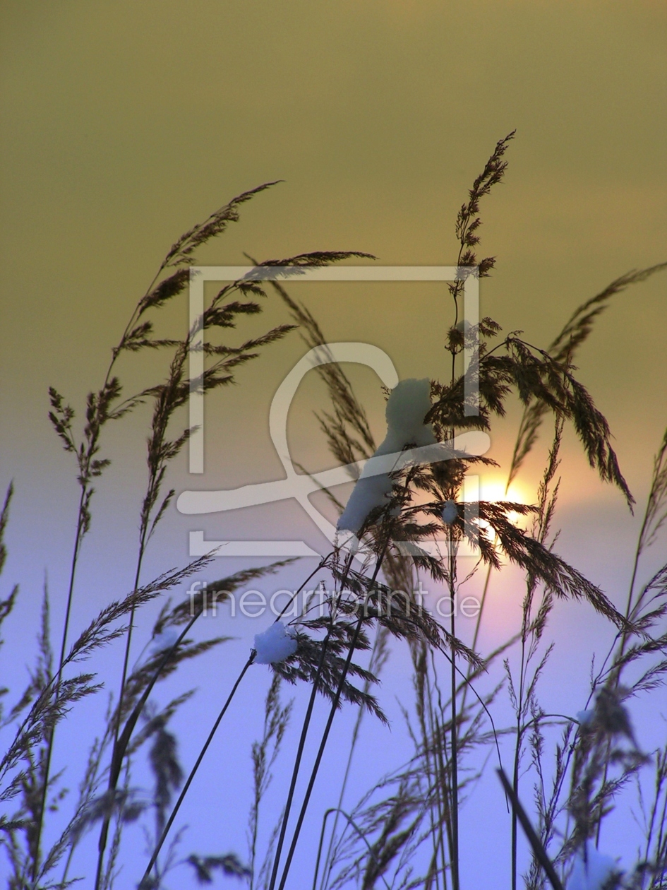 Bild-Nr.: 9554248 Winterlicht  erstellt von Renate Knapp