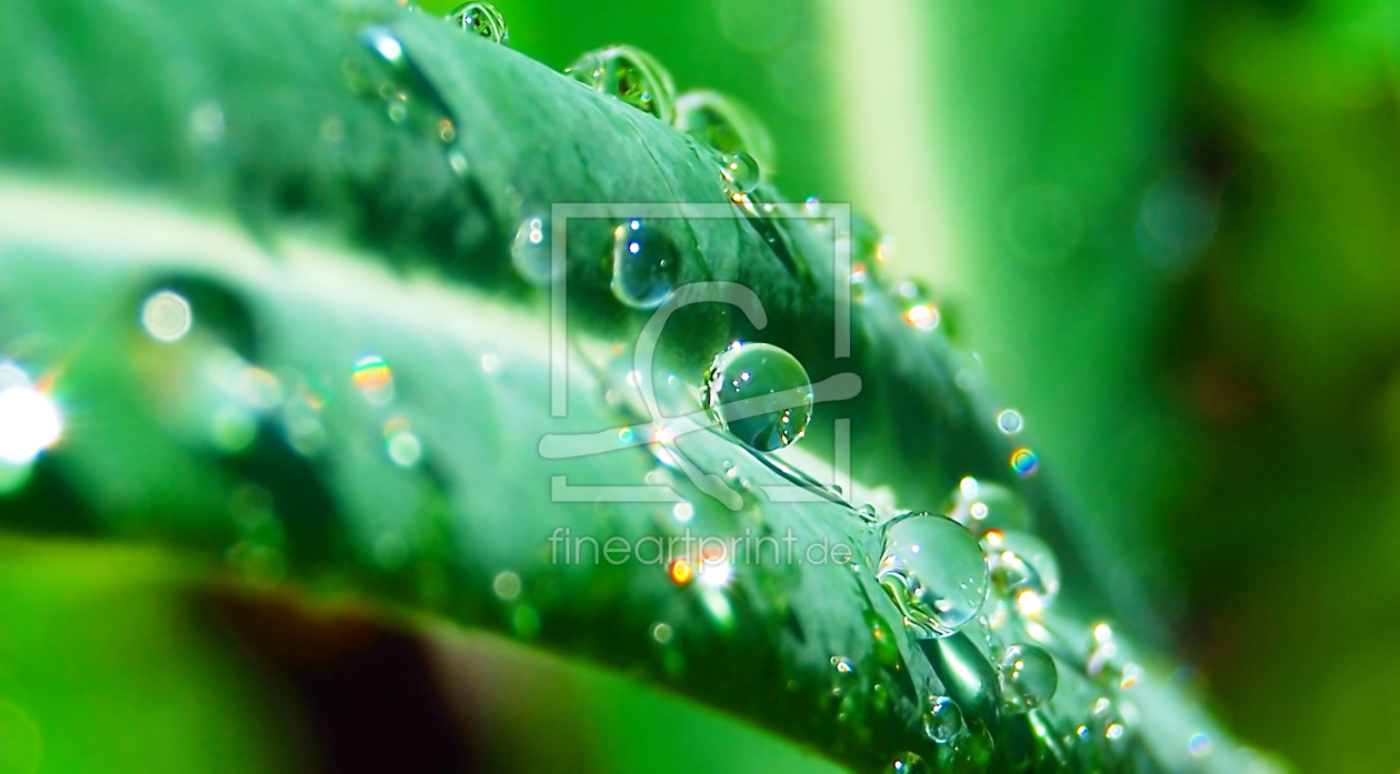 Bild-Nr.: 9557660 Pearls erstellt von Luscious