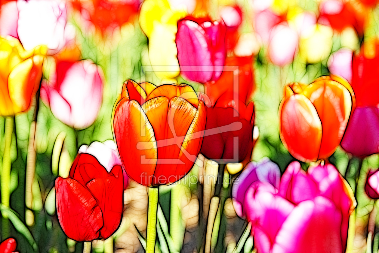 Bild-Nr.: 9560248 Tulpenfeld Bild-Nr.: 9560248 Tulpenfeld erstellt von sarnade