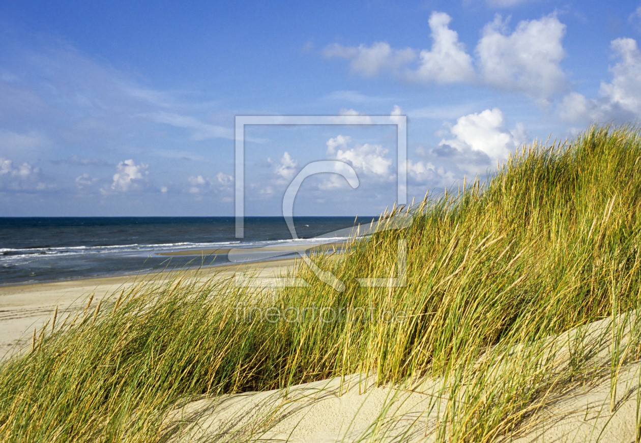 Bild-Nr.: 9560646 Texel #02 erstellt von MBuecker