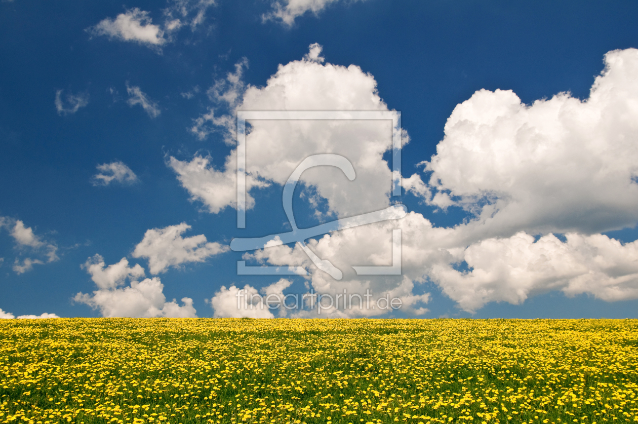 Bild-Nr.: 9562242 Frühling erstellt von danielschoenen