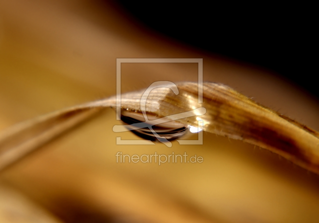 Bild-Nr.: 9564624 