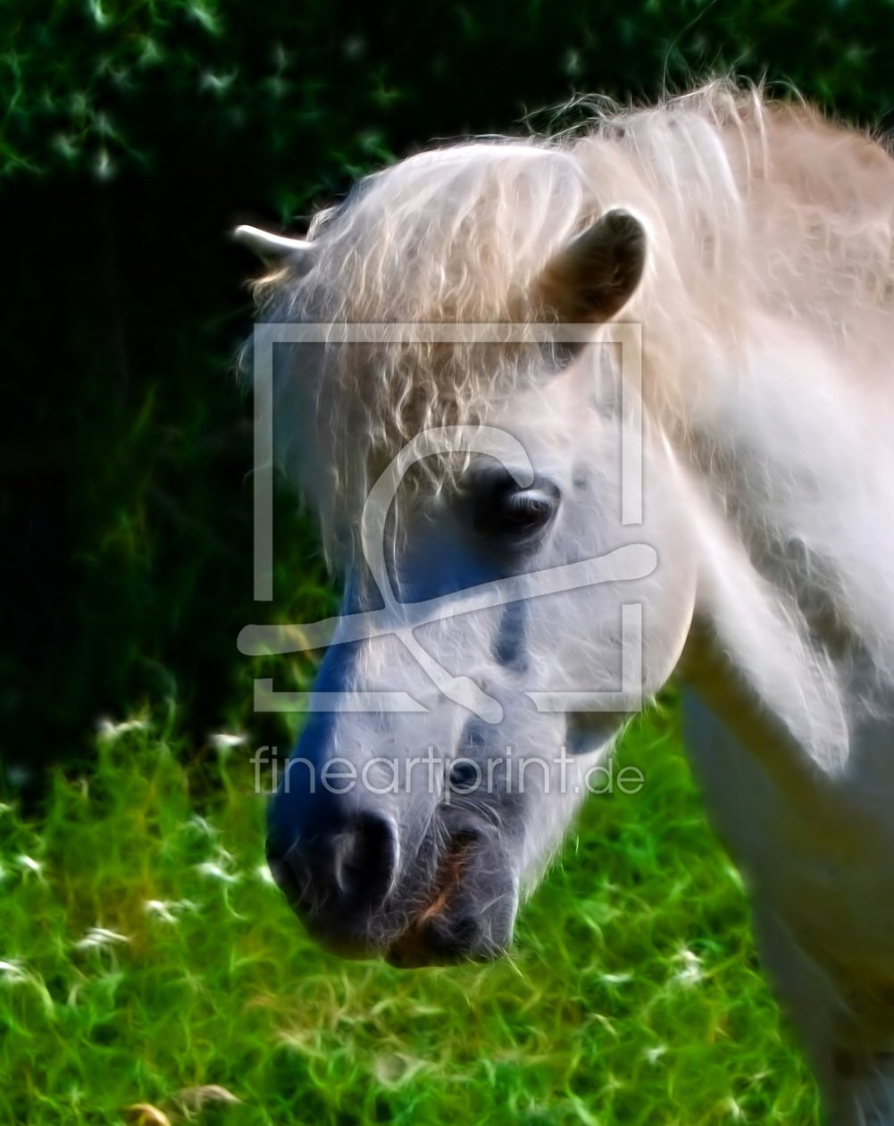Bild-Nr.: 9566214 °Little Pony° erstellt von Luscious