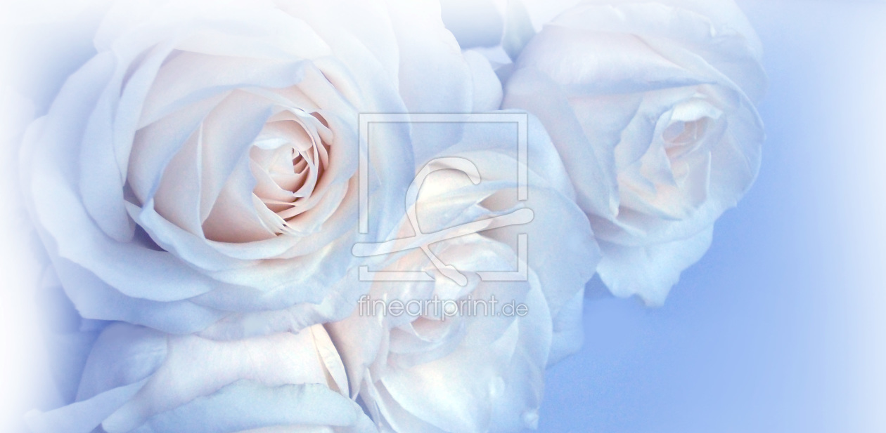 Bild-Nr.: 9567880 Dreaming Roses erstellt von Bluemoon