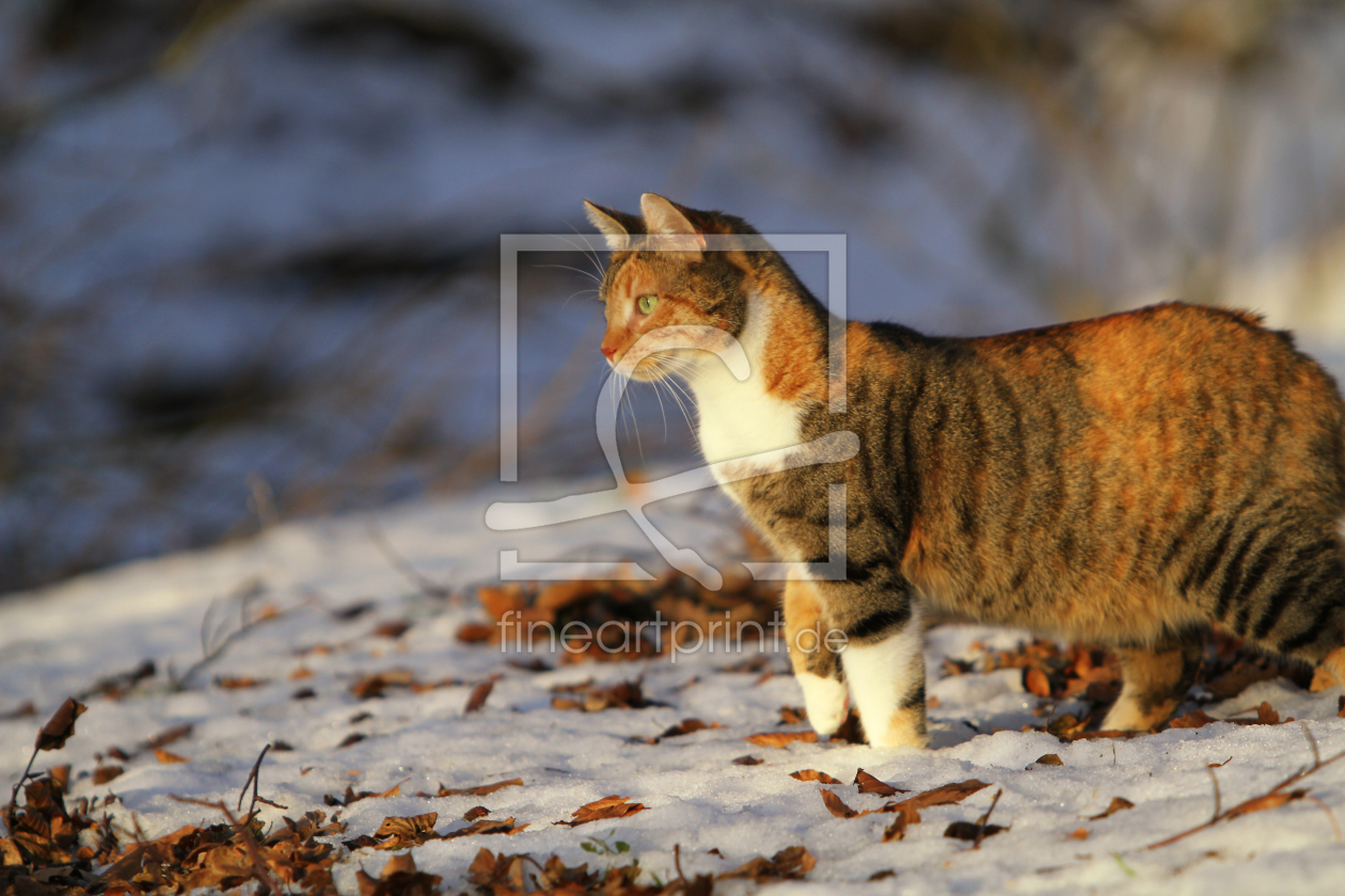 Bild-Nr.: 9568324 Spannung erstellt von sonnenfee