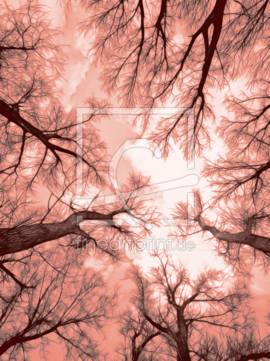 Bild-Nr.: 9570390 crown of a tree - 4 erstellt von Galerie-Fotoeffekt