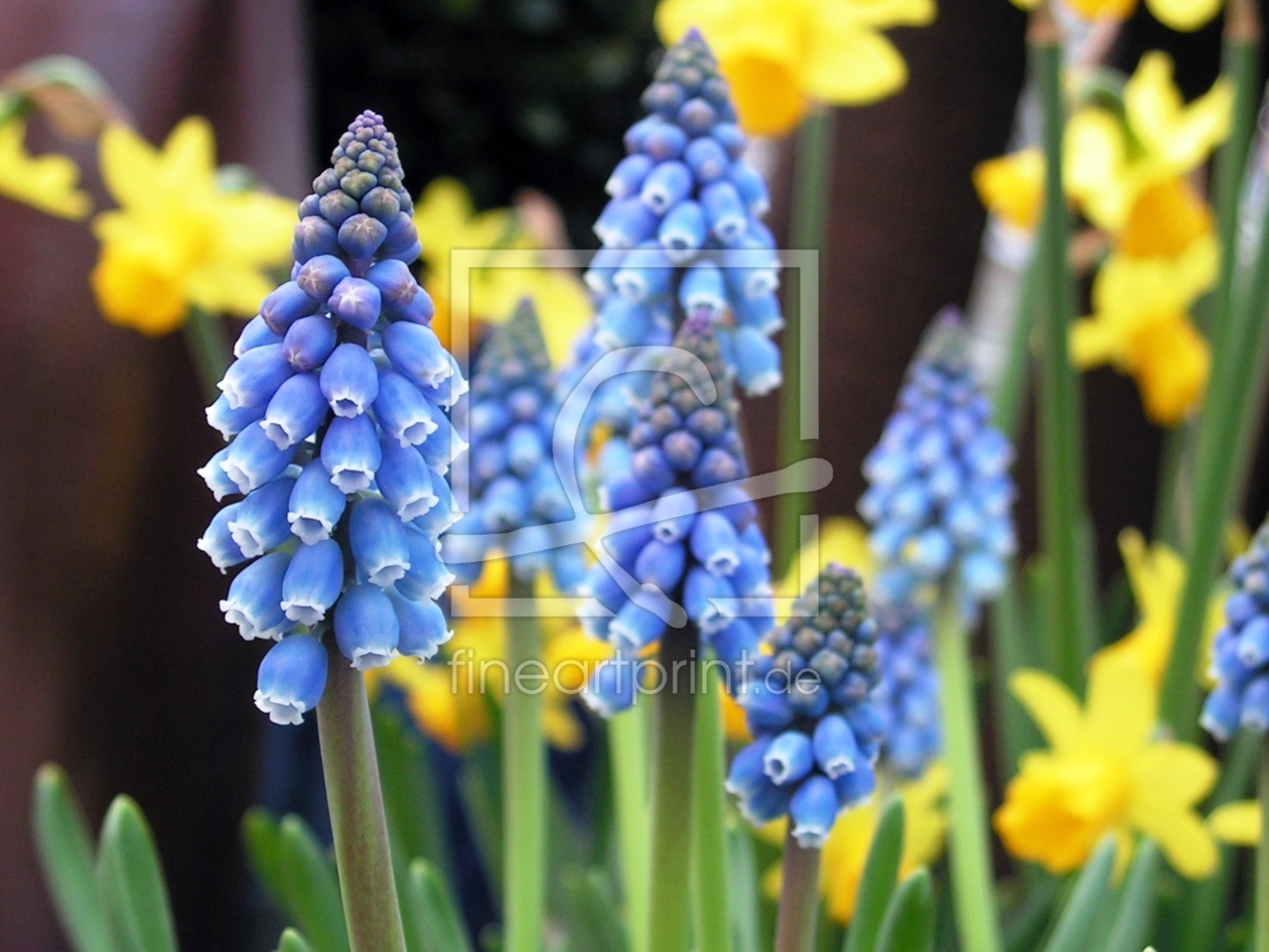 Bild-Nr.: 9571828 Der Frühling erstellt von Renate Knapp