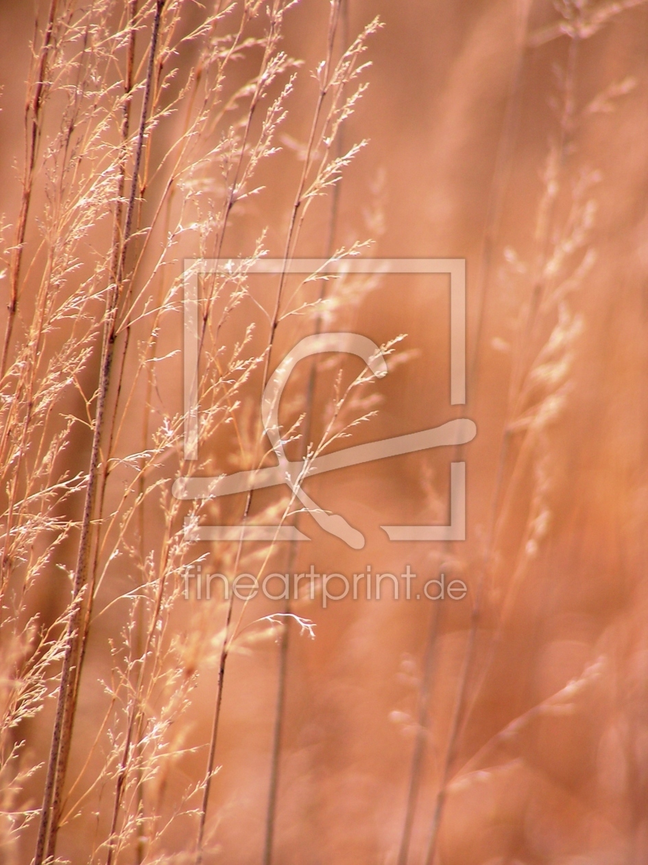 Bild-Nr.: 9572248 Filigran erstellt von Renate Knapp