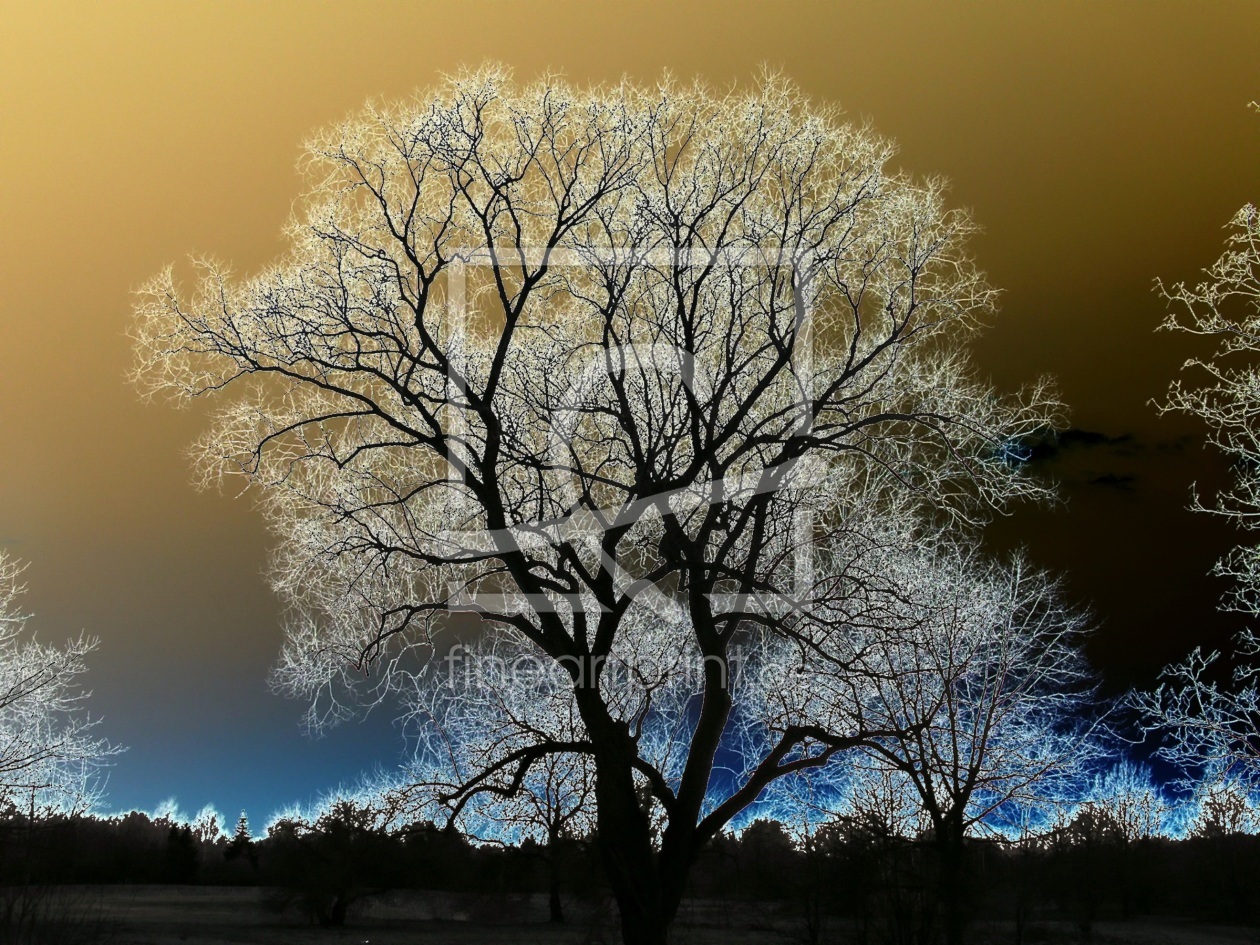 Bild-Nr.: 9575130 Winterbaum erstellt von Renate Knapp