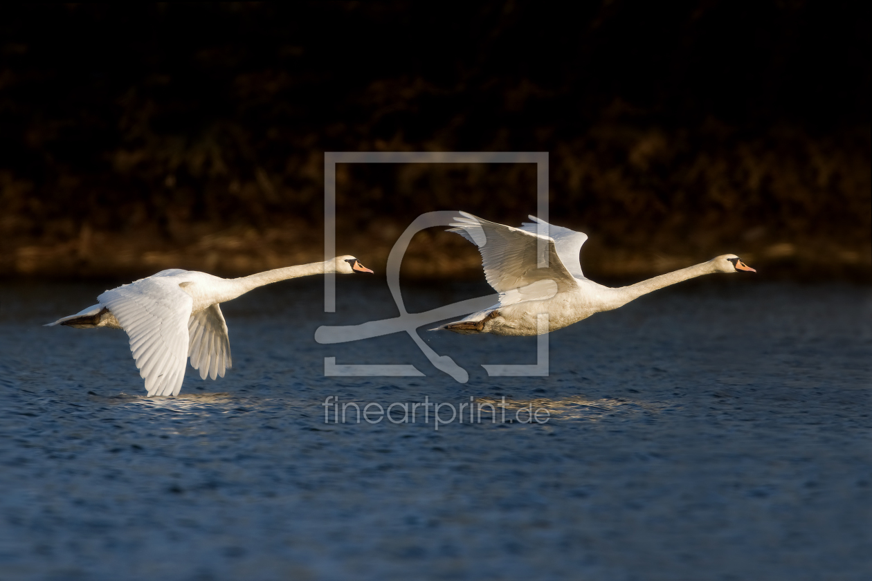 Bild-Nr.: 9576072 A U F B R U C H erstellt von 