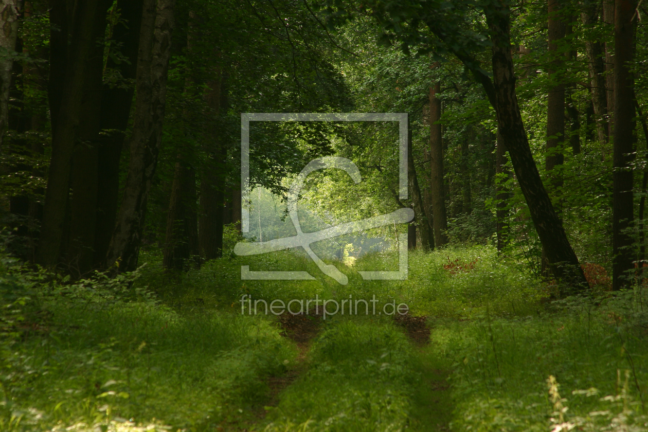 Bild-Nr.: 9578430 Waldweg erstellt von tdietrich