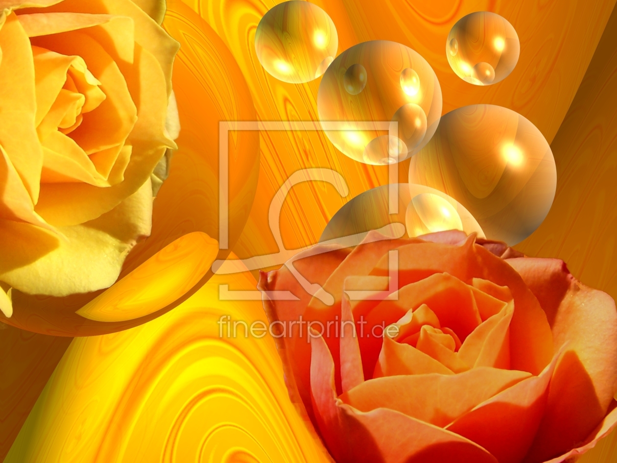 Bild-Nr.: 9583520 Rosen in orange erstellt von Martina Fornal