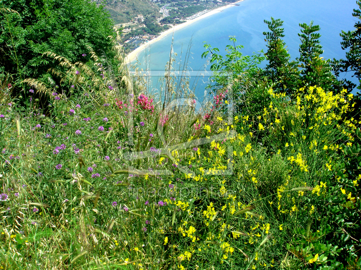 Bild-Nr.: 9583938 Mediterran II erstellt von yammay