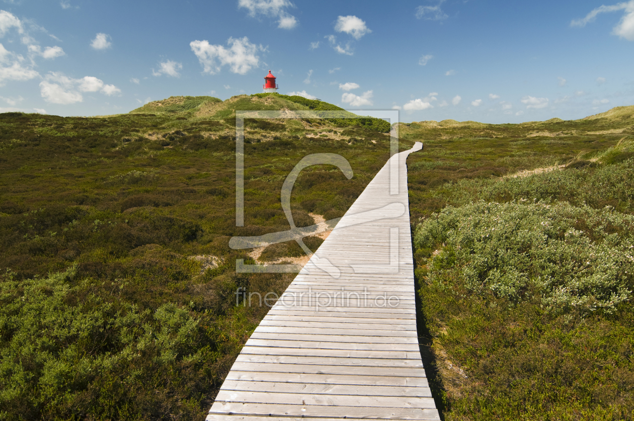 Bild-Nr.: 9593592 Amrum_10 erstellt von danielschoenen