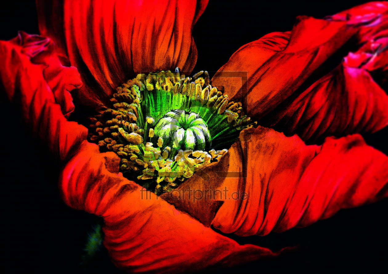 Bild-Nr.: 9598038 MOHN-SÜCHTIG 3 erstellt von RoxanneLeFay