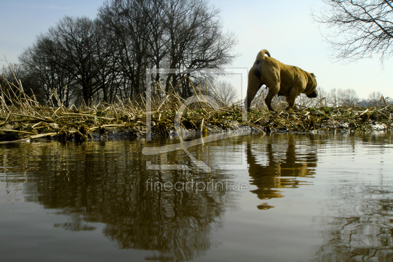 Bild-Nr.: 9598902 Am Wasser erstellt von yammay