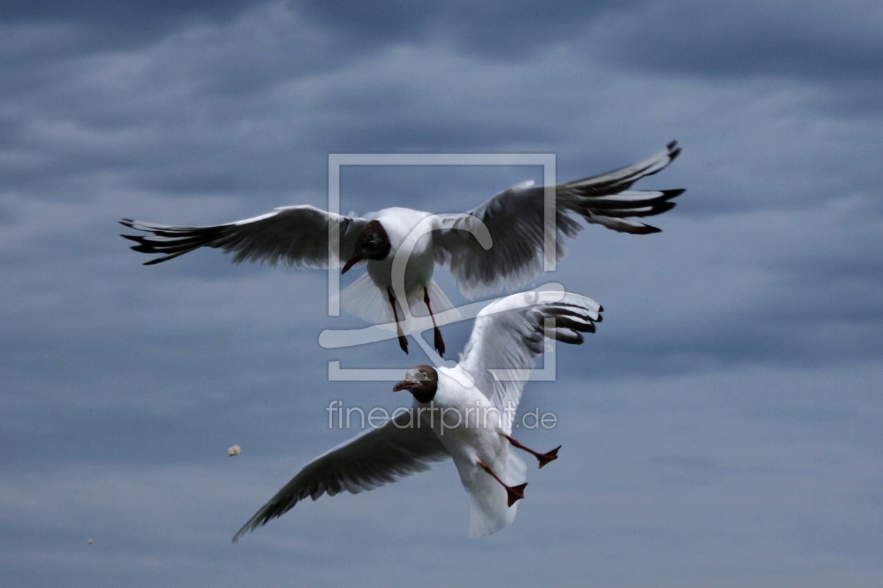 Bild-Nr.: 9599184 das ist meins erstellt von FW-PHOTO