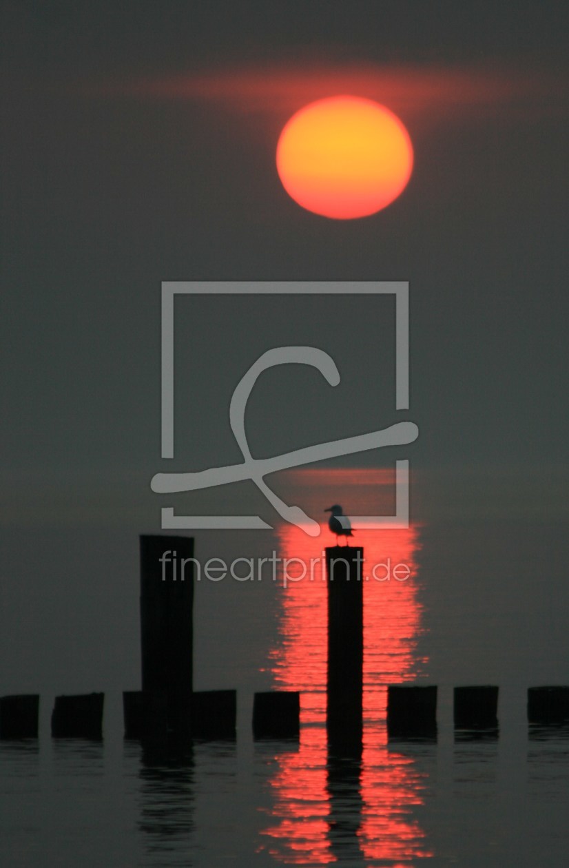 Bild-Nr.: 9599188 Abendstimmung erstellt von FW-PHOTO