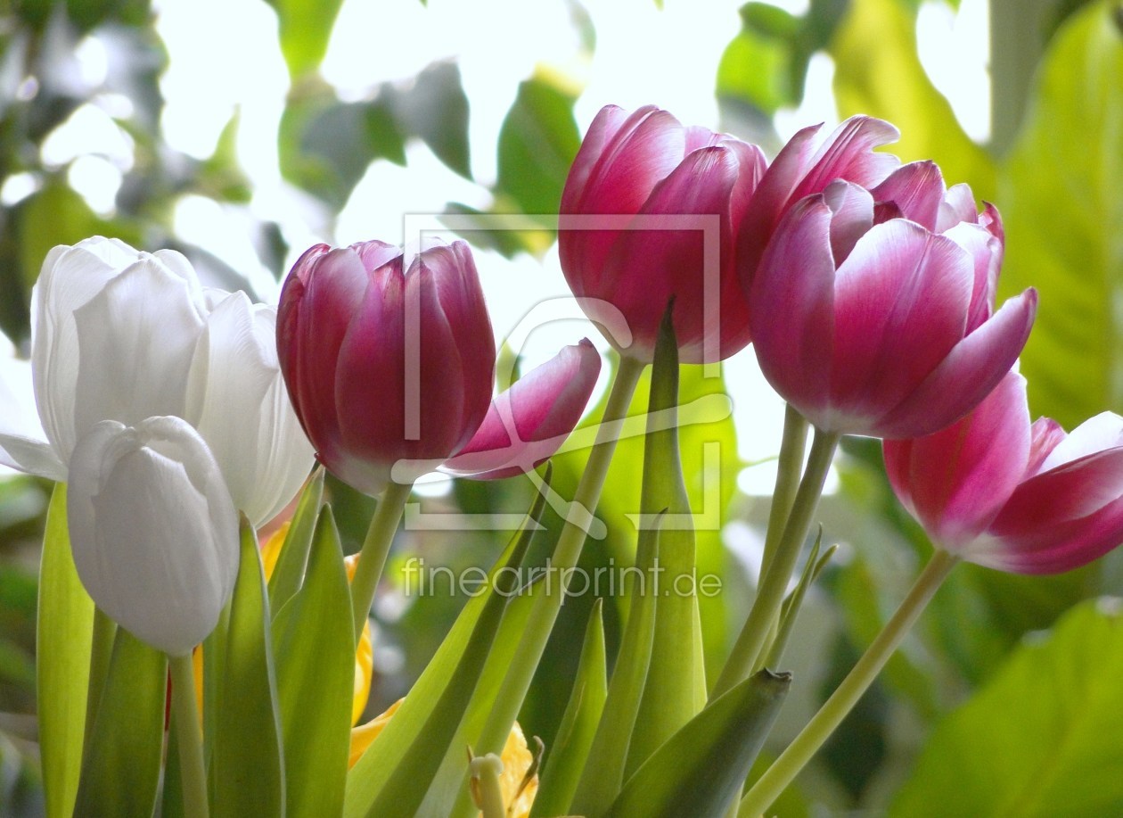 Bild-Nr.: 9599530 Frühling erstellt von Renate Knapp