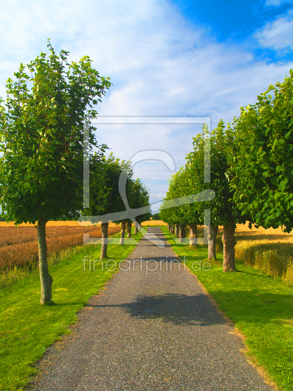 Bild-Nr.: 9602426 Road to Somewhere erstellt von dresdner